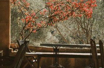 Agroturismo Can Torna AG178 - Photo 90