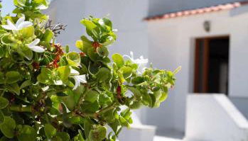 Villa Aelia Kefalos-Private & Spacious with Pool - Foto 3