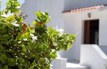 Villa Aelia Kefalos-Private & Spacious with Pool - Foto 3