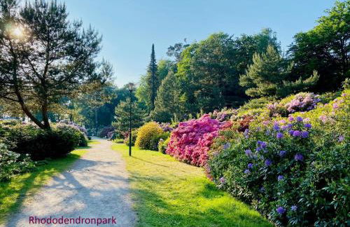 Kleine Krabbe - Foto 26