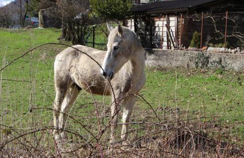 Casa di gianni - Photo 46