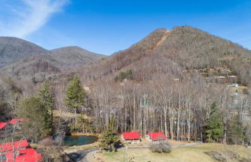 The Barn Owl - Foto 2