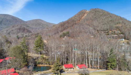 The Barn Owl - Foto 2