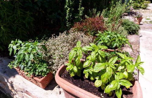 Villa Colle di Giotto Mugello, Tuscany - Foto 34