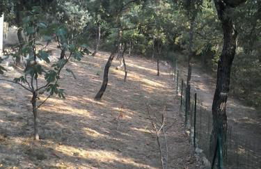 Gîtes de l'Esquirou - Photo 59