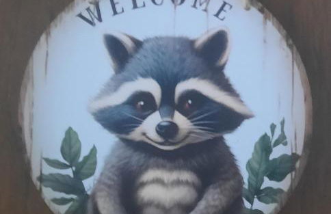 Ferienwohnung Kleiner Waschbär - Foto 1