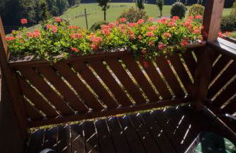 Ferienappartements Rausch - Foto 14