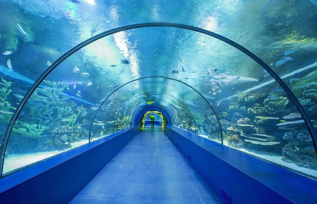 Letstay Sweet Home Yellow - Foto 46