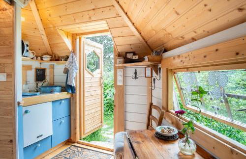 Ophrys ha Melenig - Foto 21