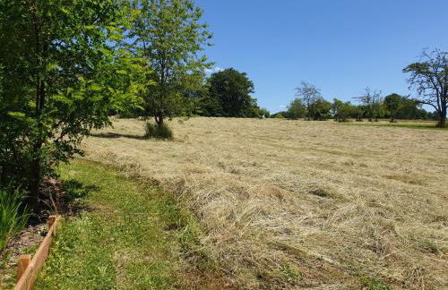 Les Vergers d'Epona "Fougerolles Haute-Saône" - Foto 27