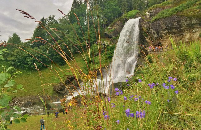AMAZING HARDANGER FJORD: Private guided round trip from Bergen, 10 hours - Photo 47