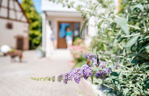 Appartementanlage Marianne - Foto 7