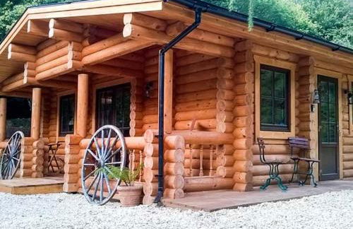 Wilderness Lodge - Foto 22