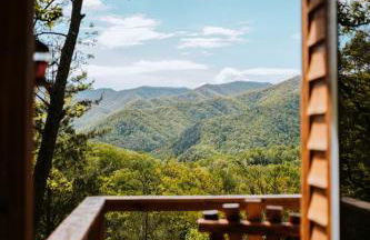 Stunning Pet-Friendly Treehouse for Relaxing Glamping Retreats in North Carolina - Foto 11