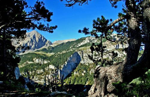 Apartamentos Tuara - Foto 11