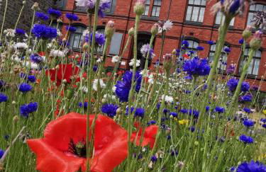 back to school (rote Schule) - Foto 5