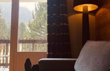 Superbe studio de montagne, au pied des pistes de ski, classé 3 étoiles - Foto 16