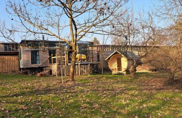 Tiny Haus - Sternenblick - Sauna - Foto 24