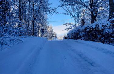 Apartament TatraVika - Photo 59