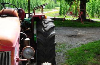 Ferienhof Hopfgärtle Müller - Foto 27