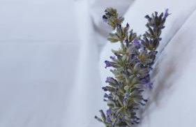 Cozy Blue Stone House with a Great Sea View. - Foto 13