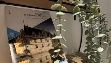 Au pied du château - Foto 5