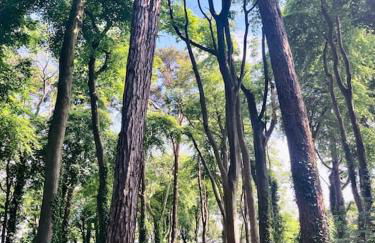 'The Studio' Designer, seaside cottage - Foto 63