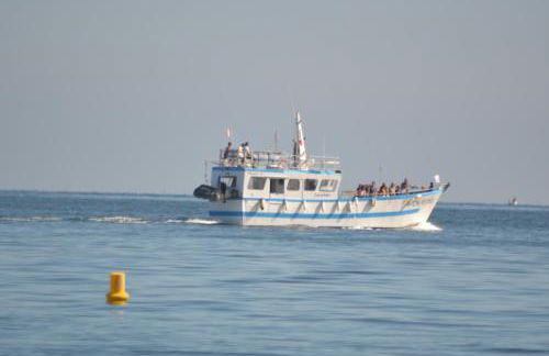 Gîte "Au P'tit Tourois" de plain-pied tout confort avec véranda proche d'Omaha Beach et de Bayeux accueillant les animaux - Foto 46