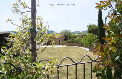 Agriturismo Signorini - Foto 30