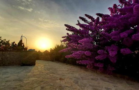 Villa Roza - Photo 18