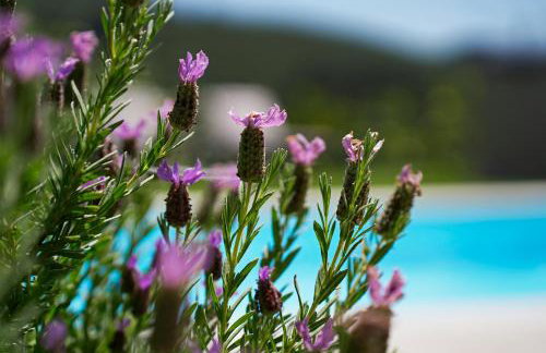 A Casa de Sobrado - Countryside House - Foto 18