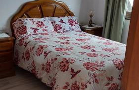 Vivienda Vacacional Florentina - Foto 22