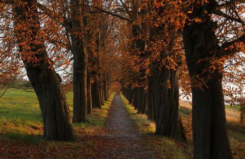 Ferienwohnung Osterwieck Mittelstraße 4 - Foto 25