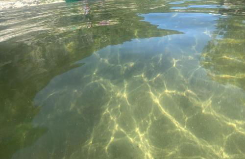 Lézardéchois - Foto 14