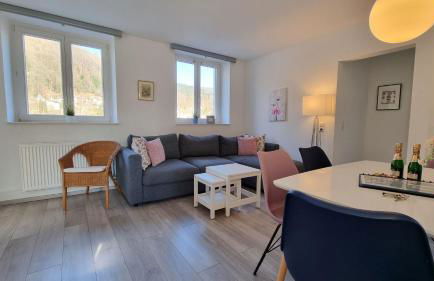 Ferienwohnungen Flussufer - Neckargemünd Altstadt - Foto 3