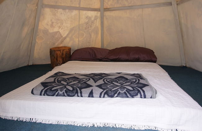 Shiva Camp - Foto 16