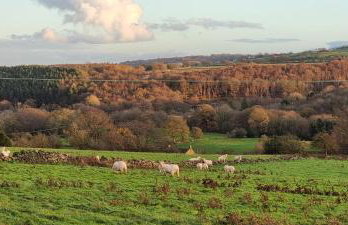 Curlew Cottage Eldwick peaceful location where you can watch the horses - Foto 20