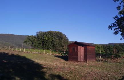 Casa Trastullo - Foto 21