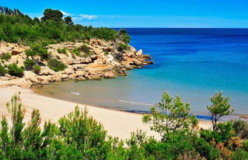 Apartamento en la playa - Foto 15