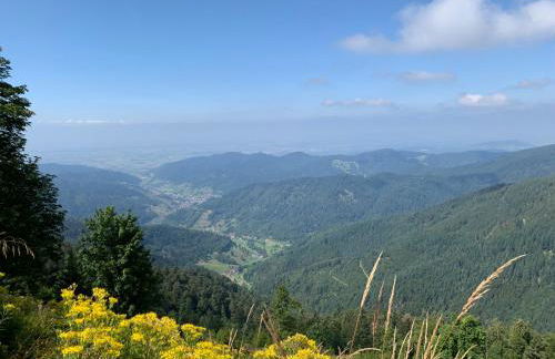 Haus Wiesenquelle, Deluxe-Apartment 'Feld & Berg' - Foto 27