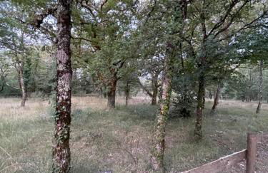 Le Mas d'Angèle - Foto 35