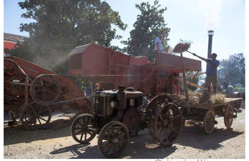 All'Antica Ruggine - Photo 28