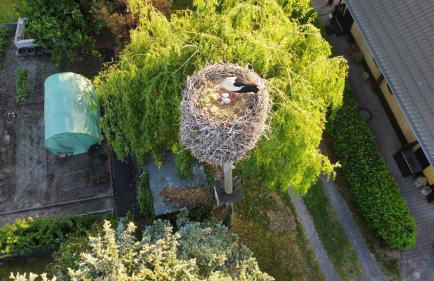 Apartments im Spreewald - Foto 14