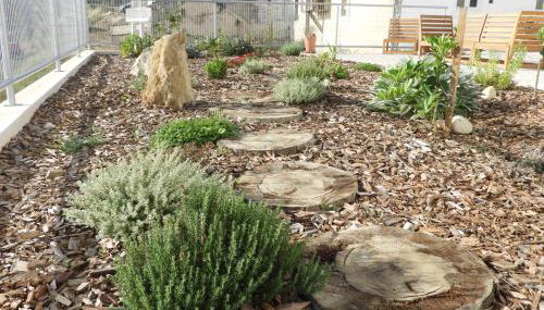 Quinta da Chumbaria - heaven on a hilltop, peace and stunning views! - Foto 3, Garden view