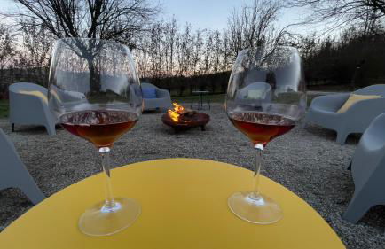 Pet and Breakfast Pet Friendly Country House - Foto 45