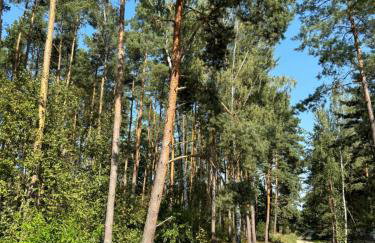 DOMEK W BRZOZACH nad jeziorem z balią na wyłączność - Foto 23