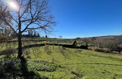 Quinta Casa do Retiro - Foto 25