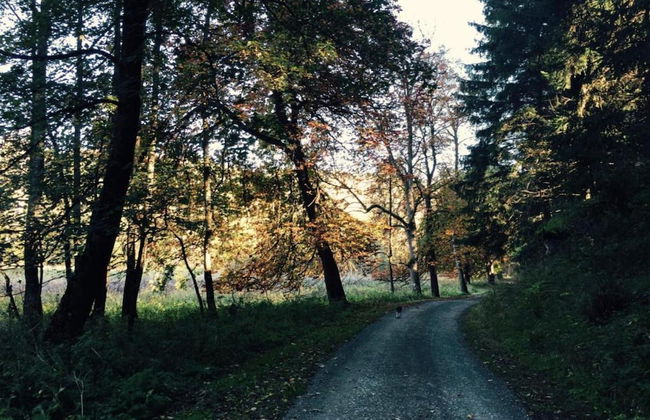 Former Coach House in the Harz - Foto 36