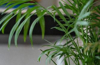 Apartman EVA - Dugo Selo / Zagreb - Foto 45