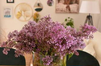 appartement l'arbousier - Foto 29